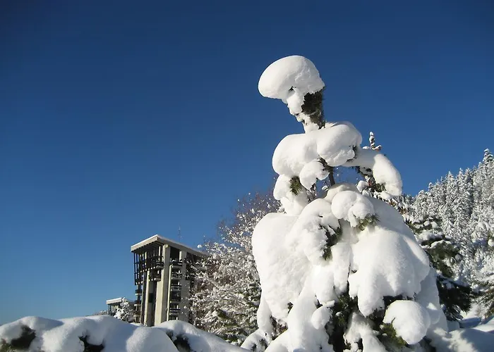 Daire Residences Kandahar