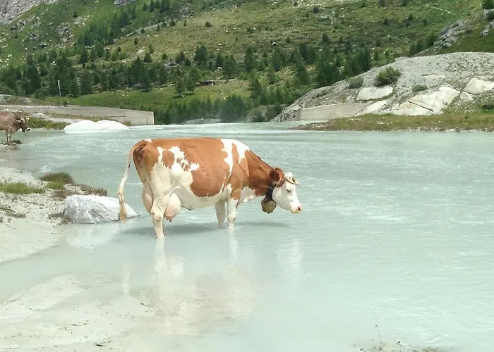 Residences Kandahar アパート